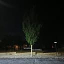 No Knock No Doorbell