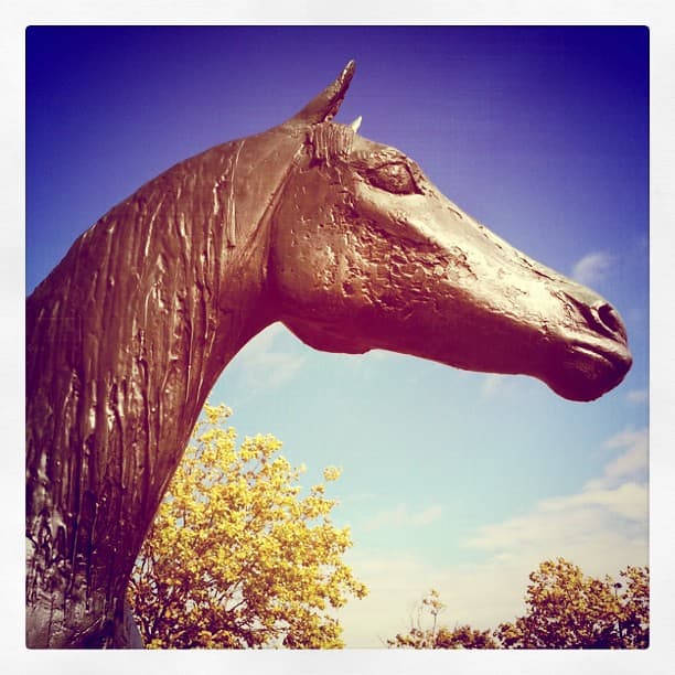 Bronze horse's head and neck against a blue sky, with a yellow-leaved tree below