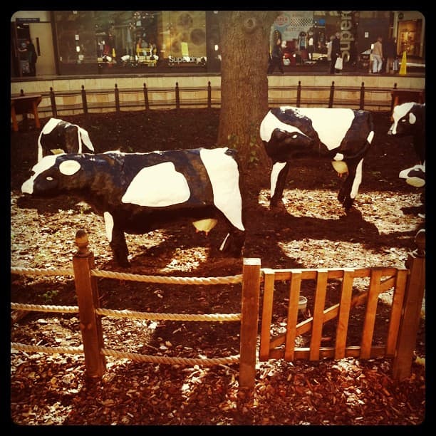 Black-and-white concrete cows in a fenced pen of bark chippings around a tree, shops behind